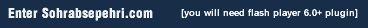Enter the site : You will need flash plugin to view this site.